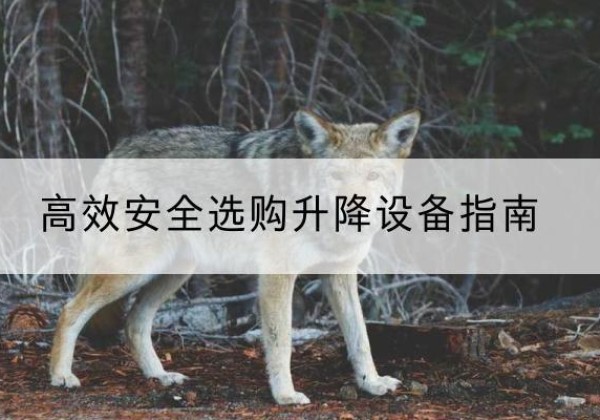 德庆升降货梯厂家推荐-*安全选购升降设备指南