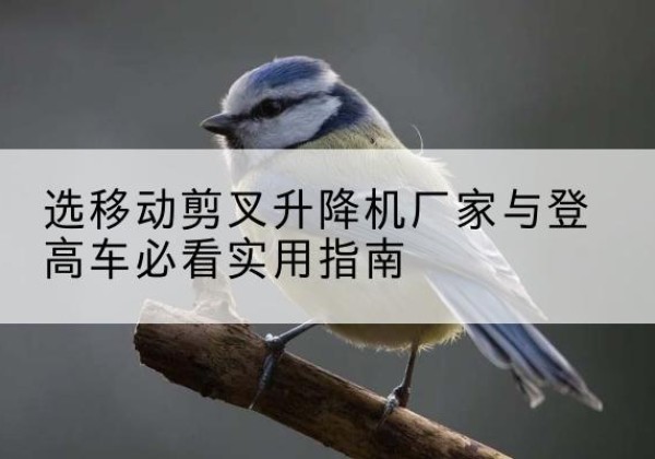 德庆电动升降机厂家-选移动剪叉升降机厂家与登高车必看实用指南