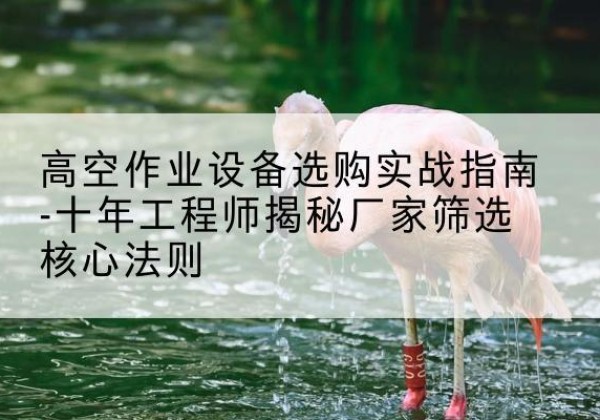 德庆剪叉式升降机厂家-高空作业设备选购实战指南-十年工程师揭秘厂家筛选核心法则